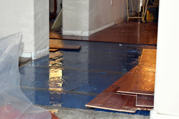 Professional Basement Flood Cleanup technician working in Long Beach, MS